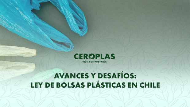 ley de bolsas plásticas chile