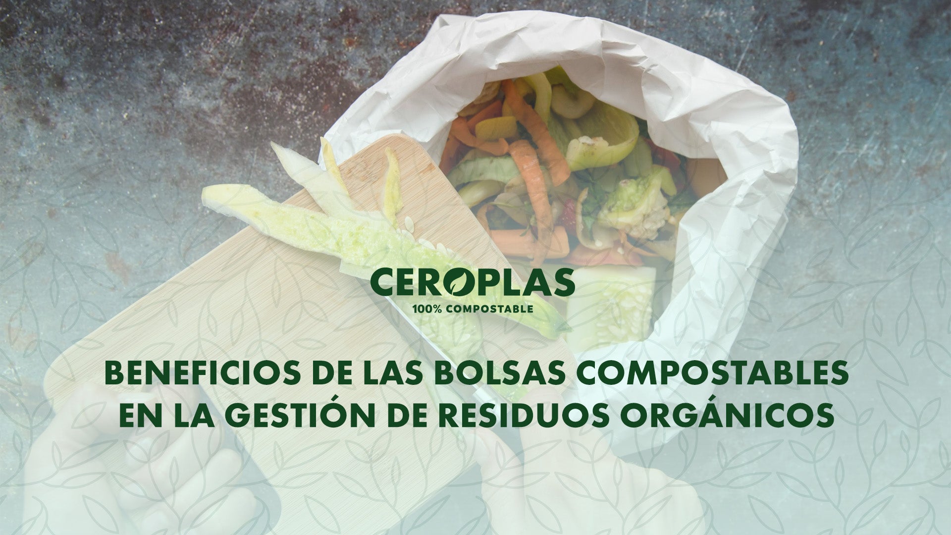 Beneficios de las bolsas compostables en la gestión de residuos ...