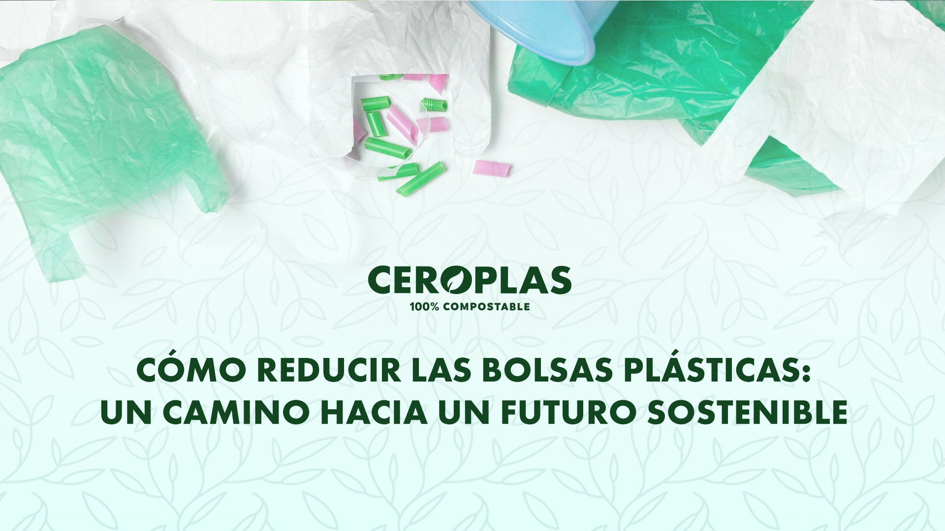 Cómo reducir las bolsas plásticas: Un camino hacia un futuro sostenible