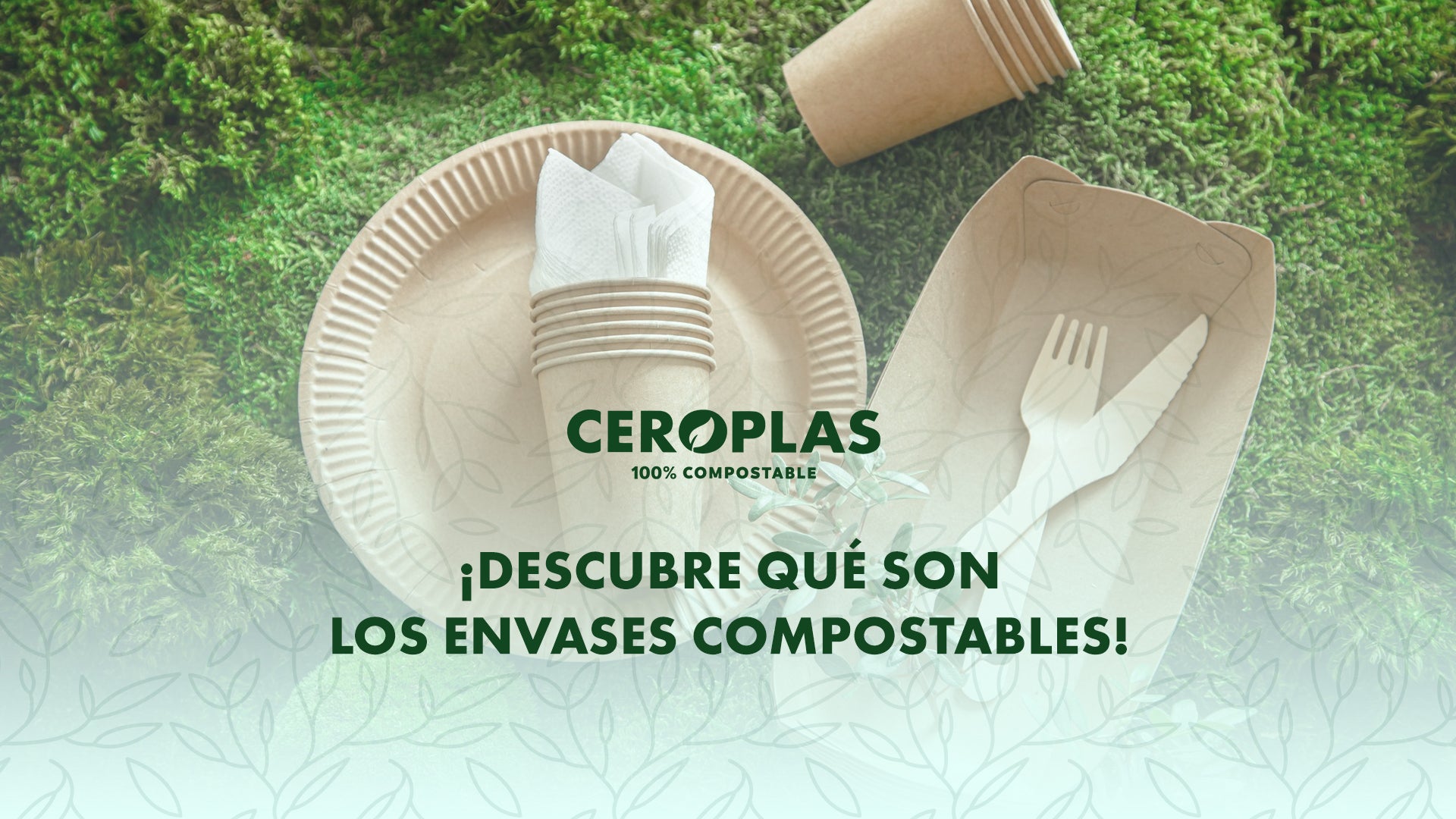 Descubre qué son los envases compostables