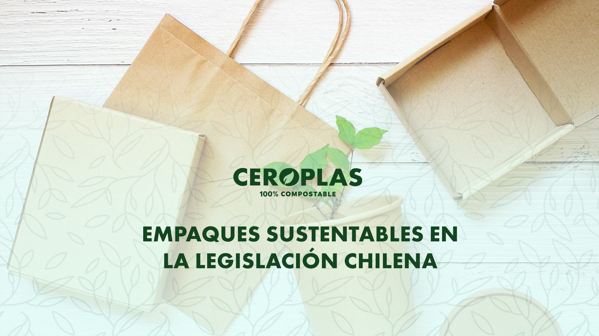 Empaques sustentables en la legislación chilena