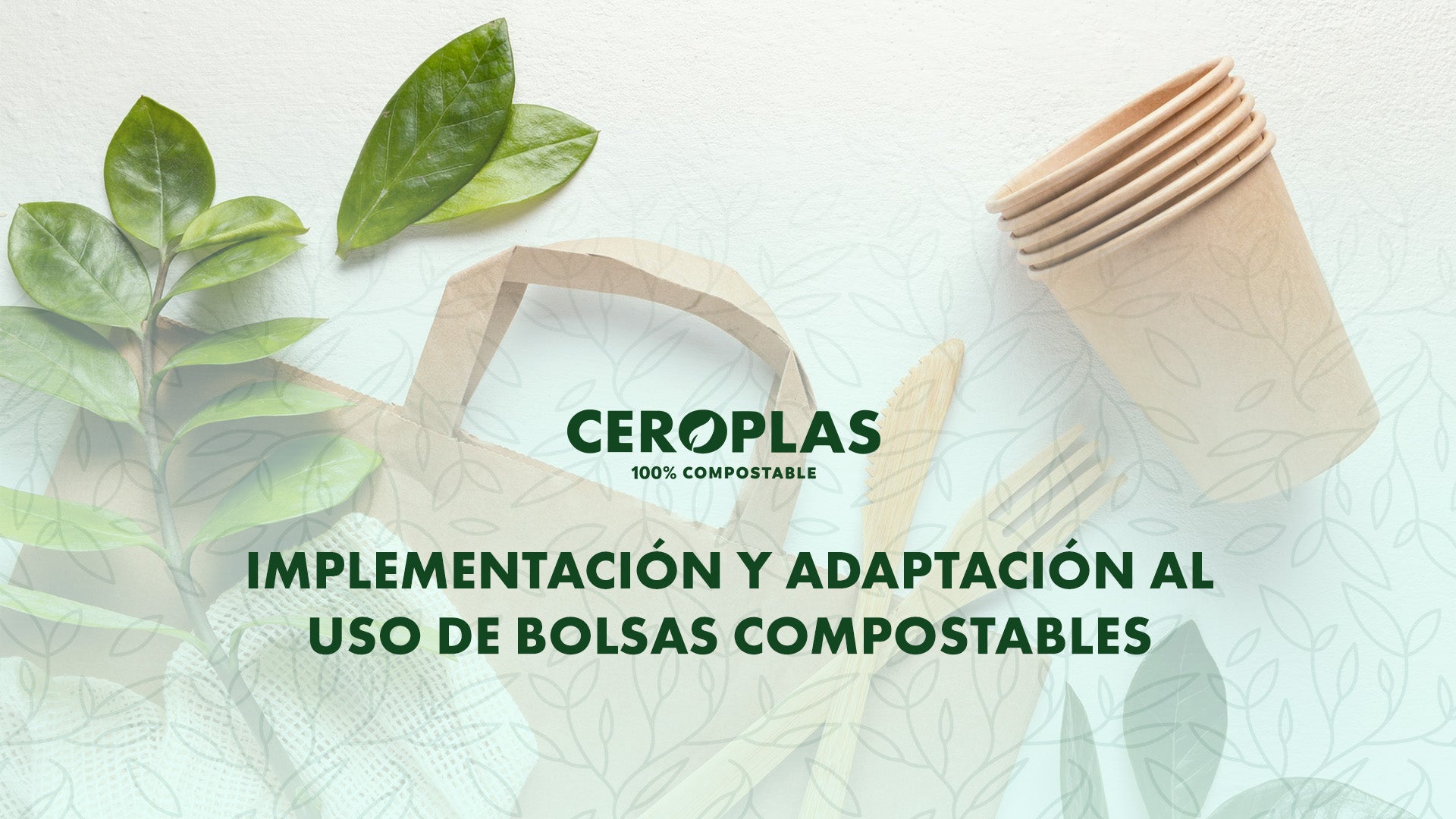 Implementación y adaptación al uso de bolsas compostables