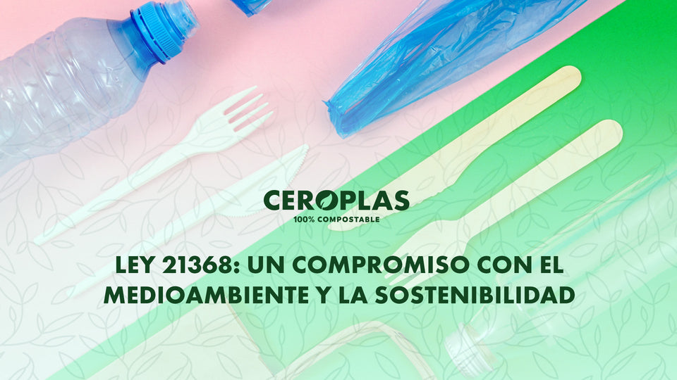 Ley 21.368