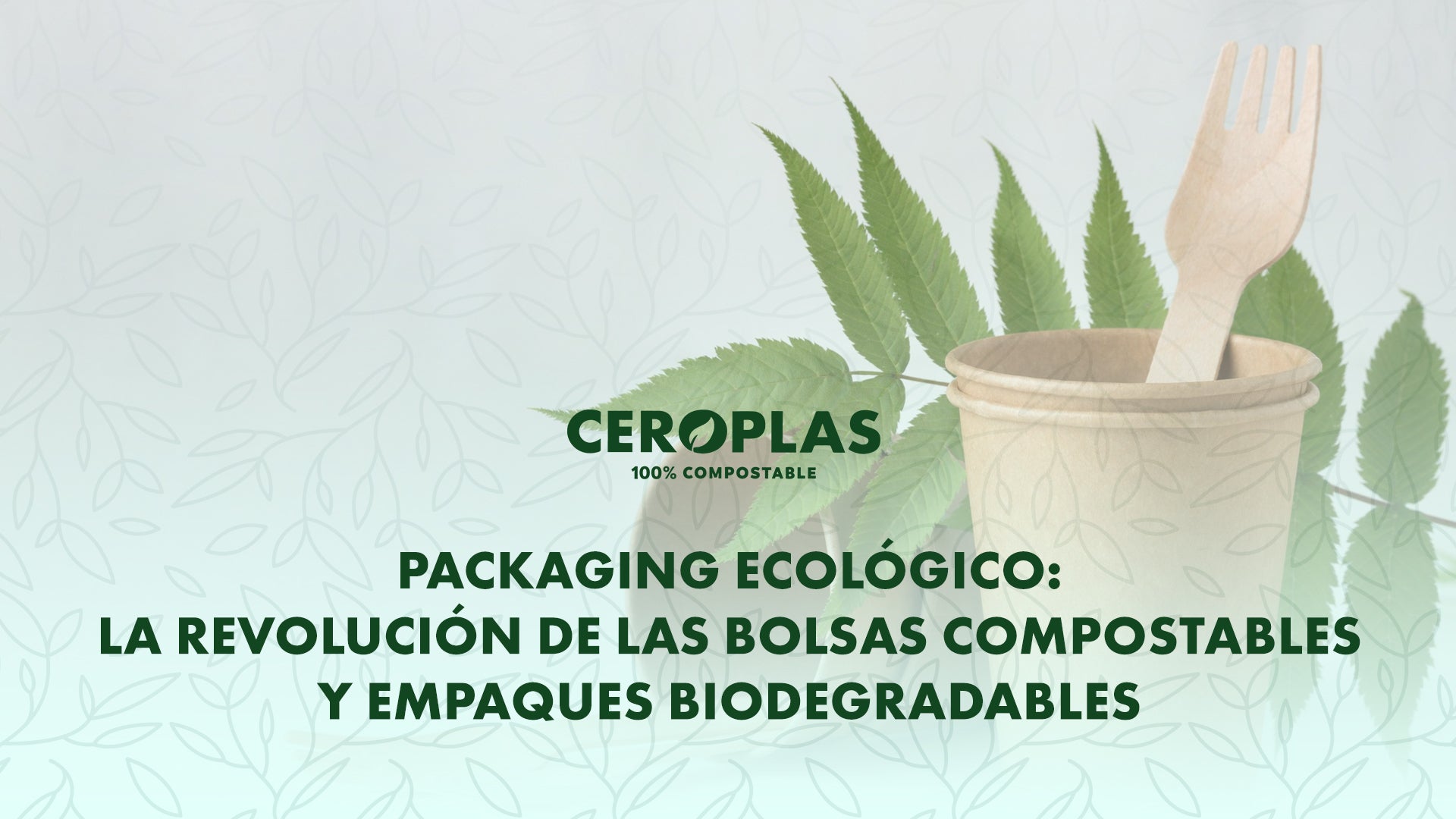Packaging Ecológico: La revolución de las bolsas compostables y empaques biodegradables