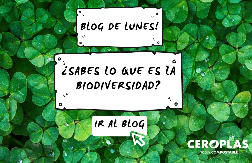 Qué es la biodiversidad