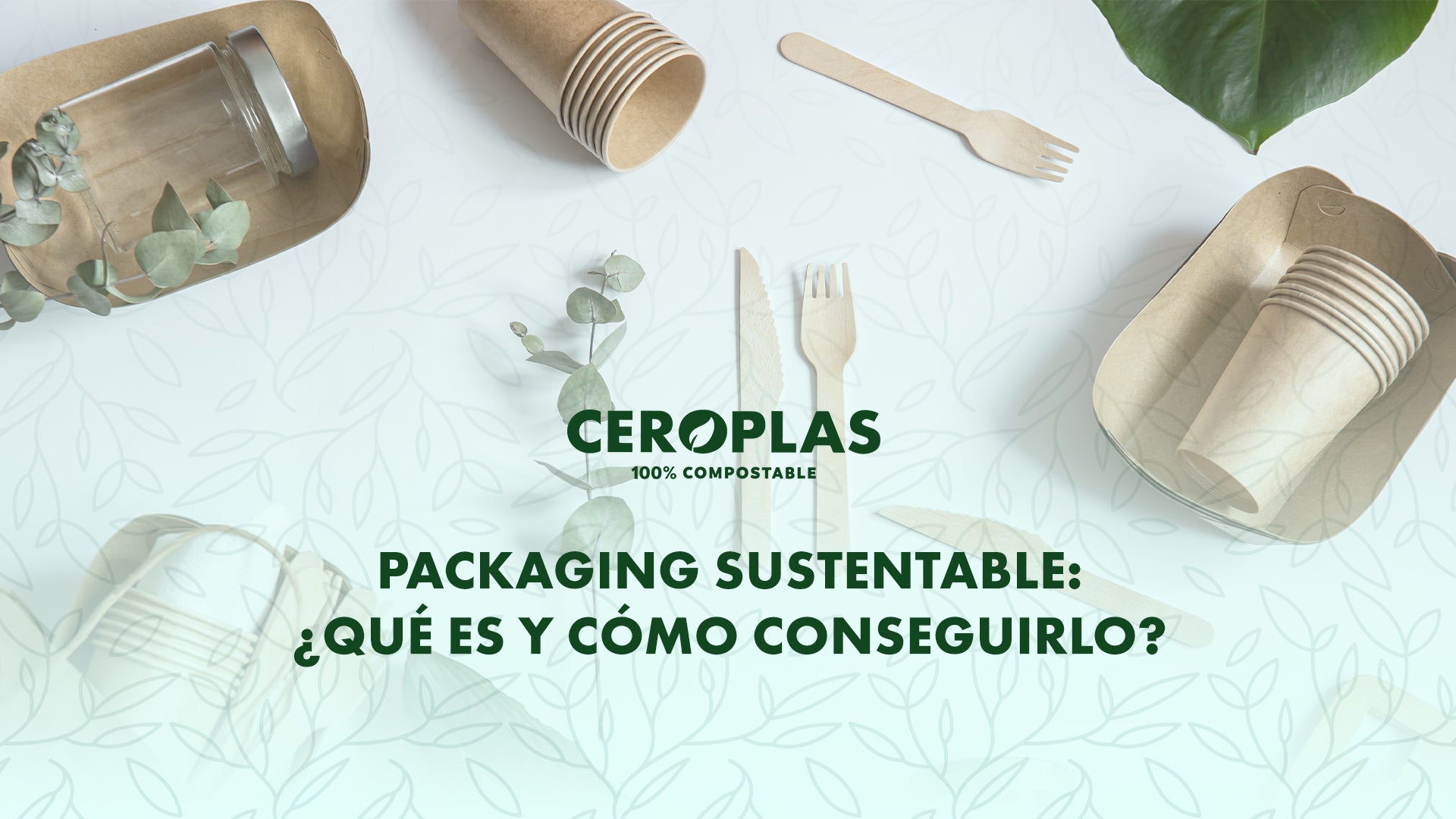 packaging sustentable