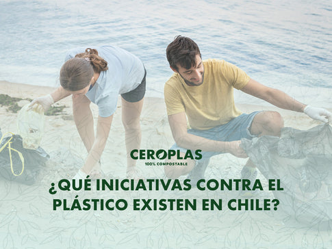 Jóvenes limpian basura de la playa