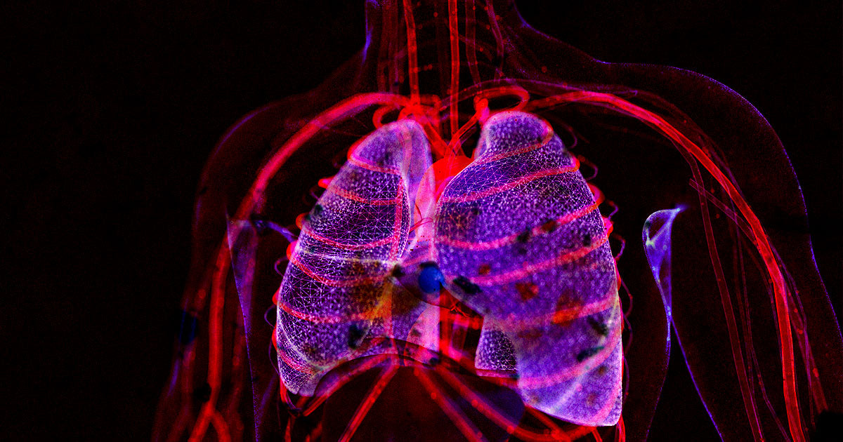 Una razón más para pararlo: microplástico ahora en pulmones humanos