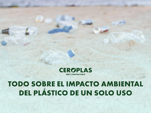 Todo sobre el impacto ambiental del plástico de un solo uso