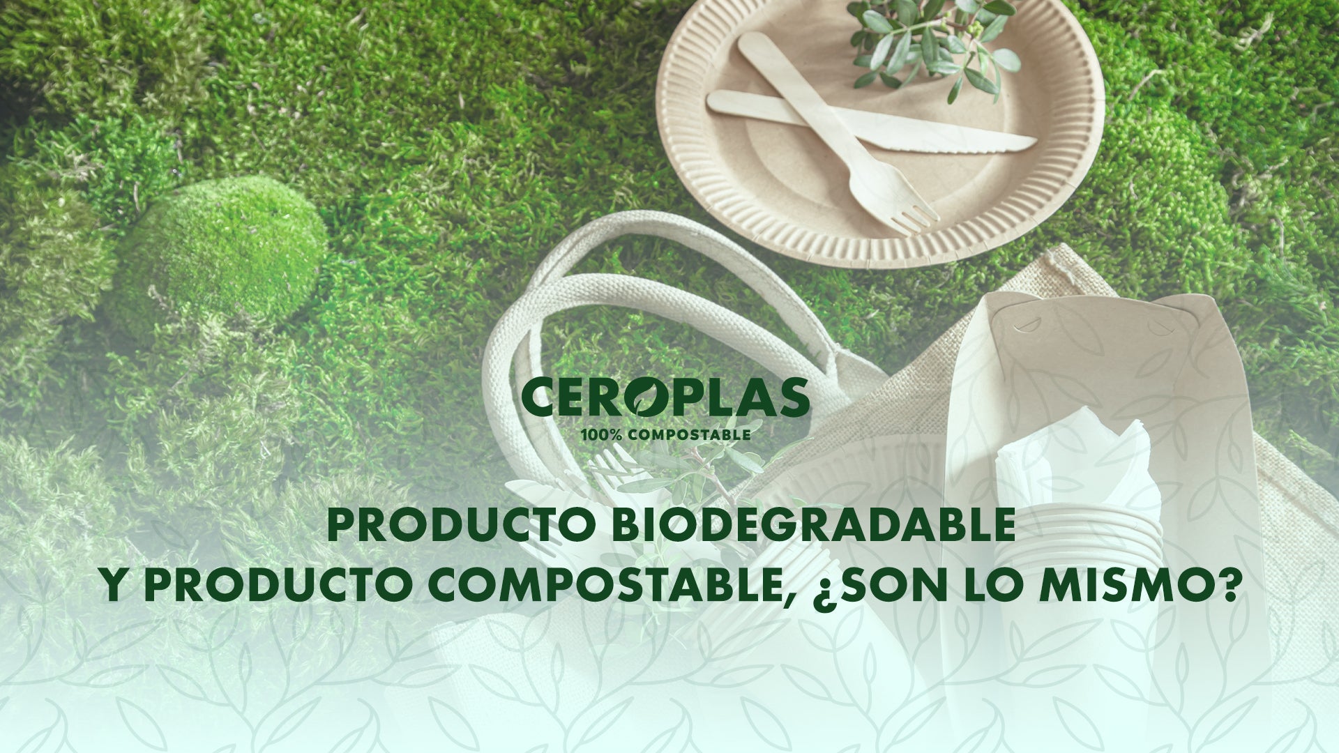 Producto Compostable