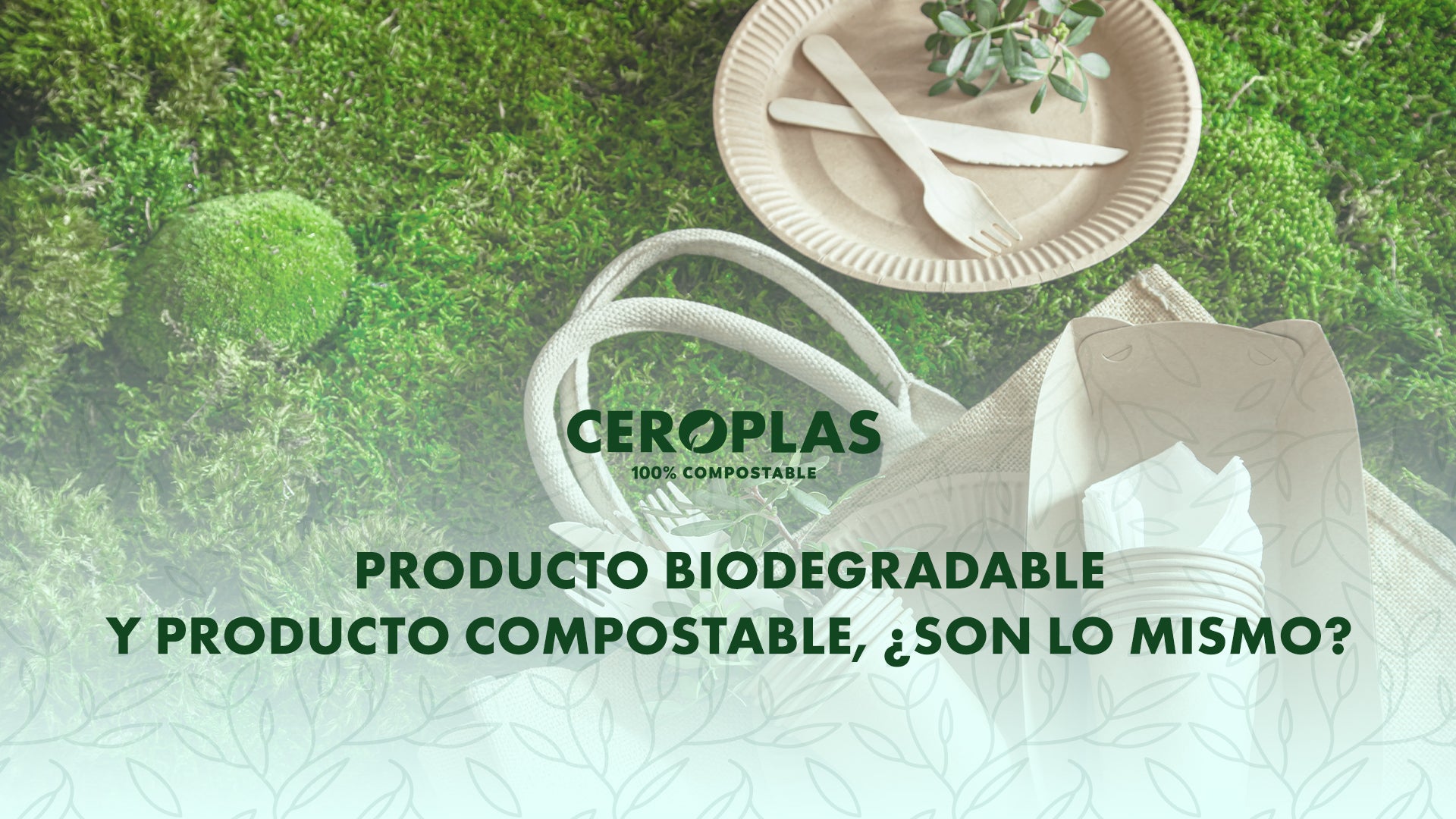 Producto biodegradable y compostable, ¿son lo mismo? - Ceroplas - Ceroplas