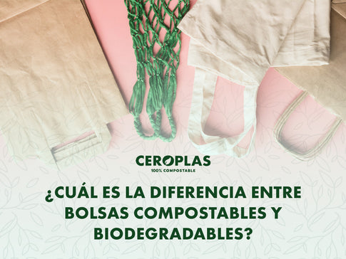 Cómo elegir la bolsa ideal para tu negocio